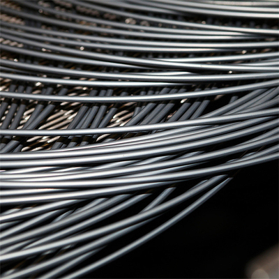 Phosphating surface Low Carbon Hot Rolled Steel Wire Rod voor de productie van spijkers en schroeven
